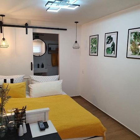 Studio-Apartment Kontaktloser Check-In Meckenbeuren Eksteriør bilde